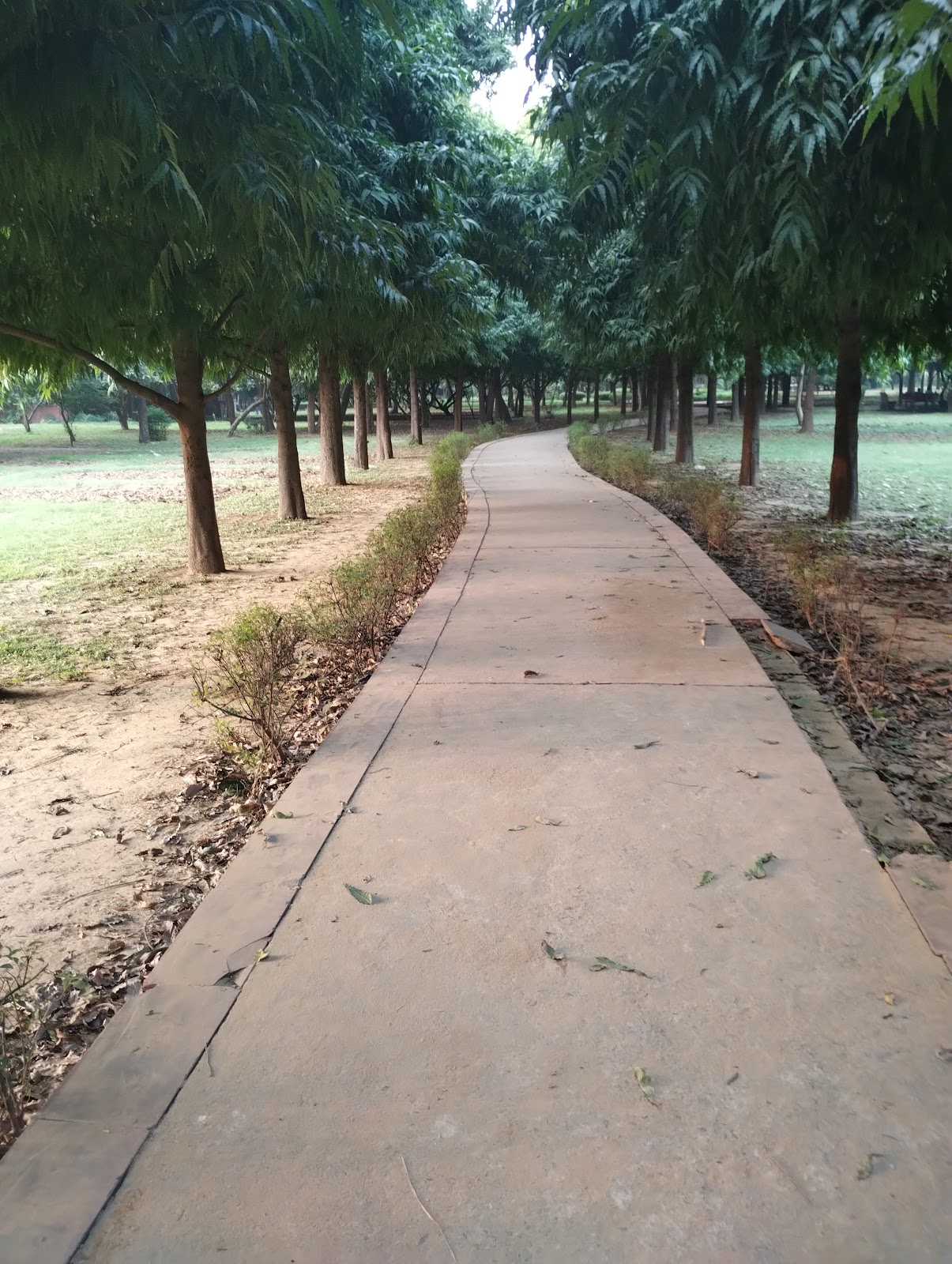 Tau Devi Lal Biodiversity Park