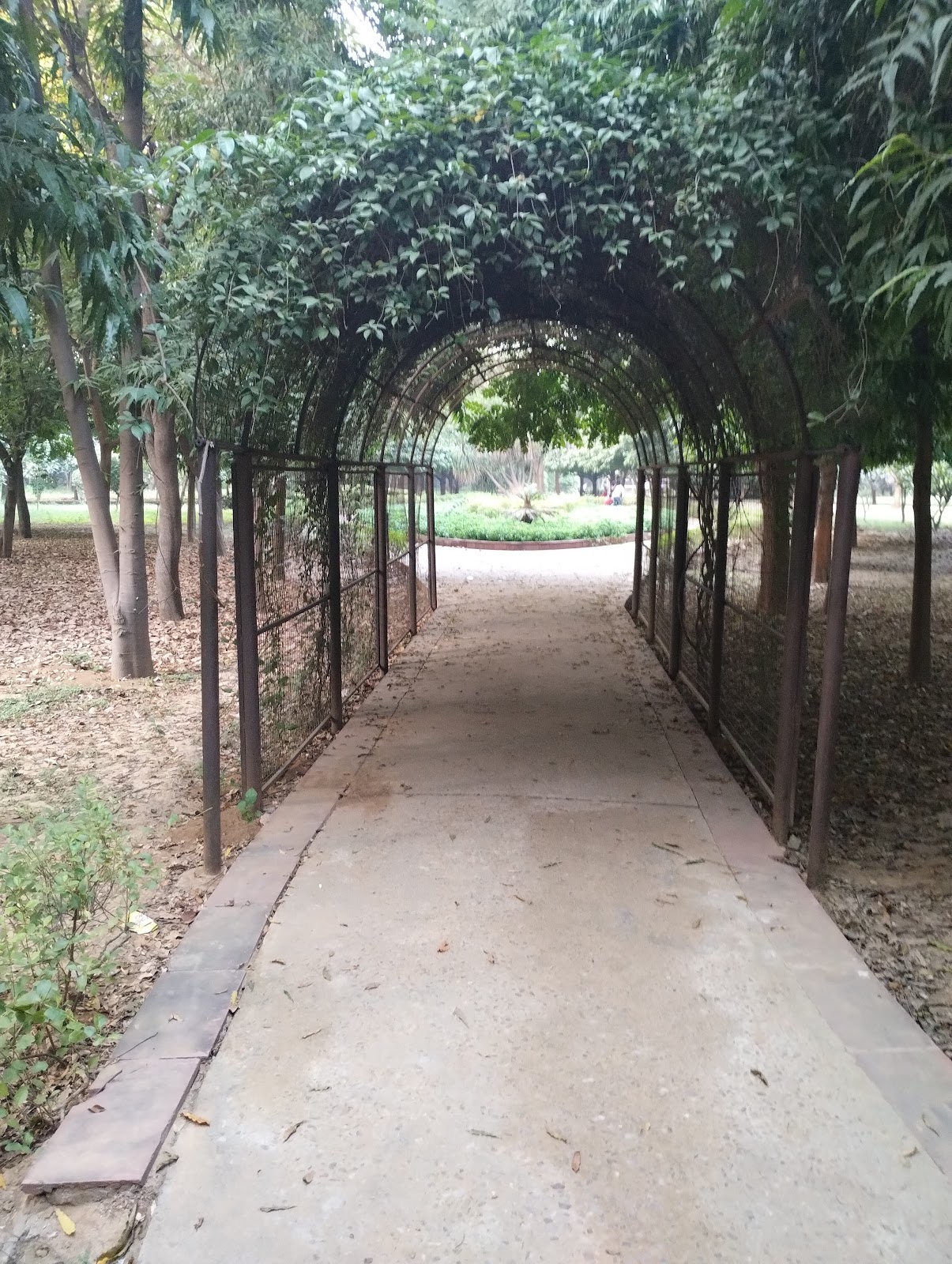 Tau Devi Lal Biodiversity Park