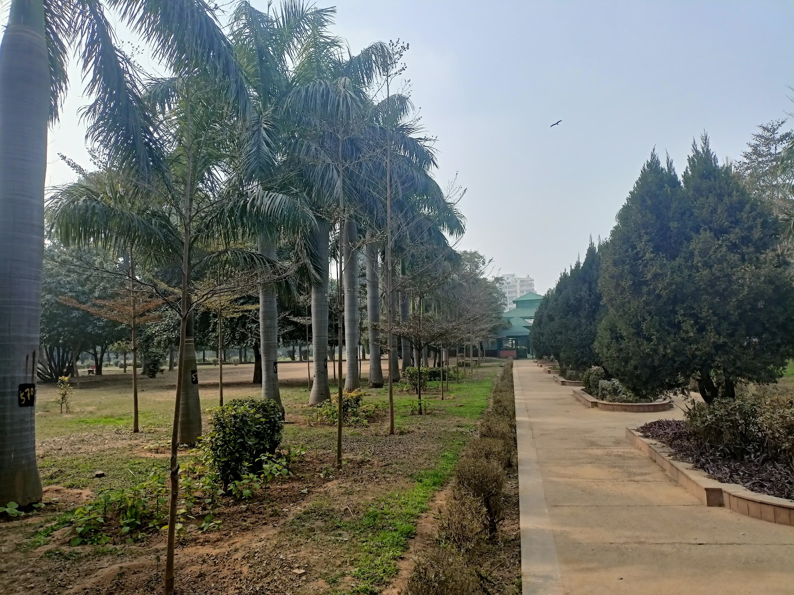 Tau Devi Lal Biodiversity Park