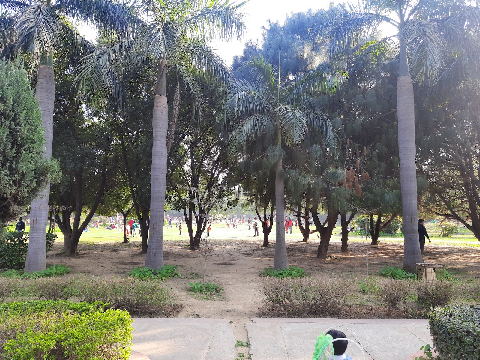 Tau Devi Lal Biodiversity Park