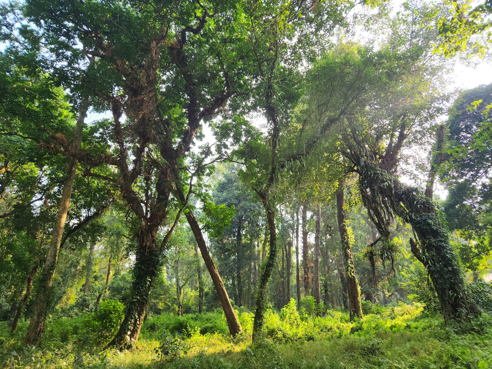 Jorpokhri Wildlife Sanctuary