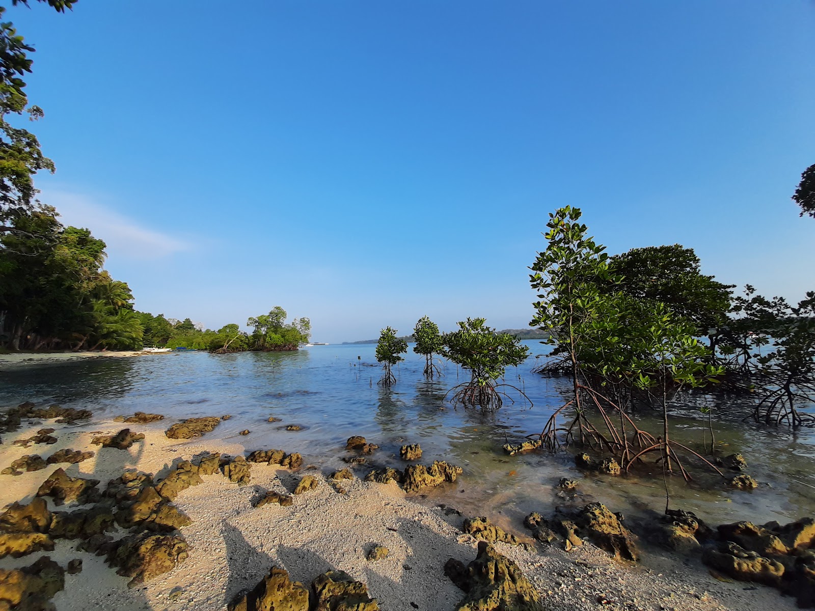 Havelock Island Lighthouse