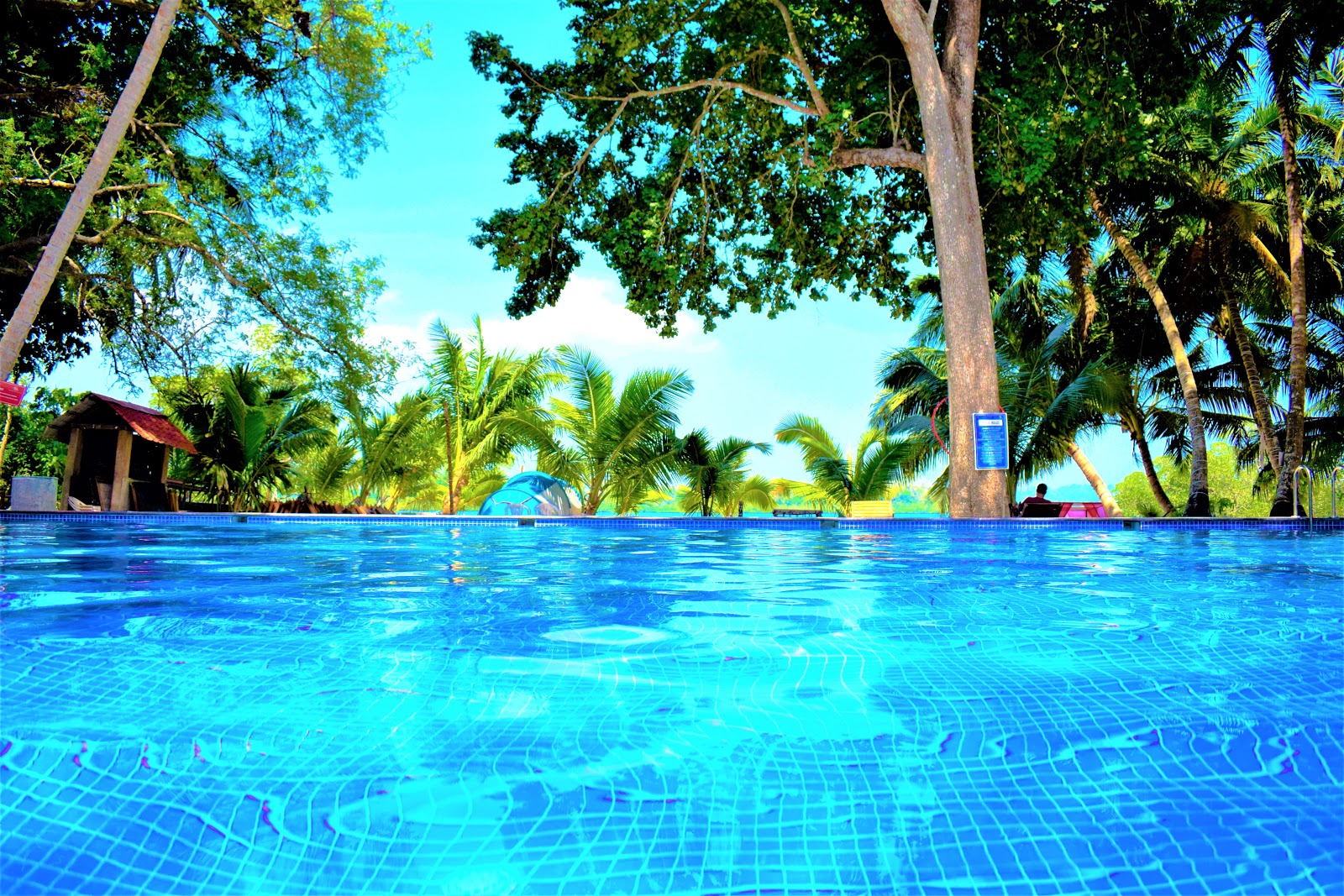 Havelock Island Market