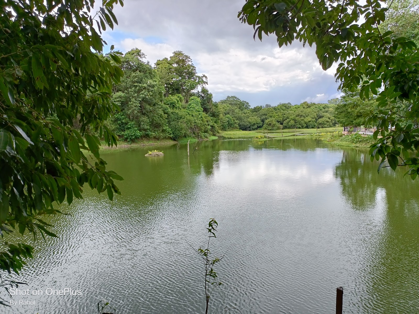 Hazaribagh National Park