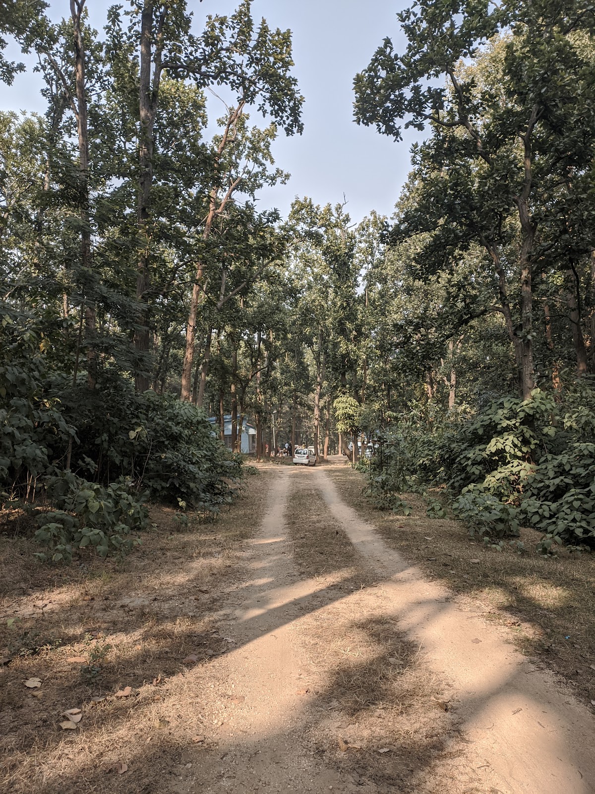 Hazaribagh National Park