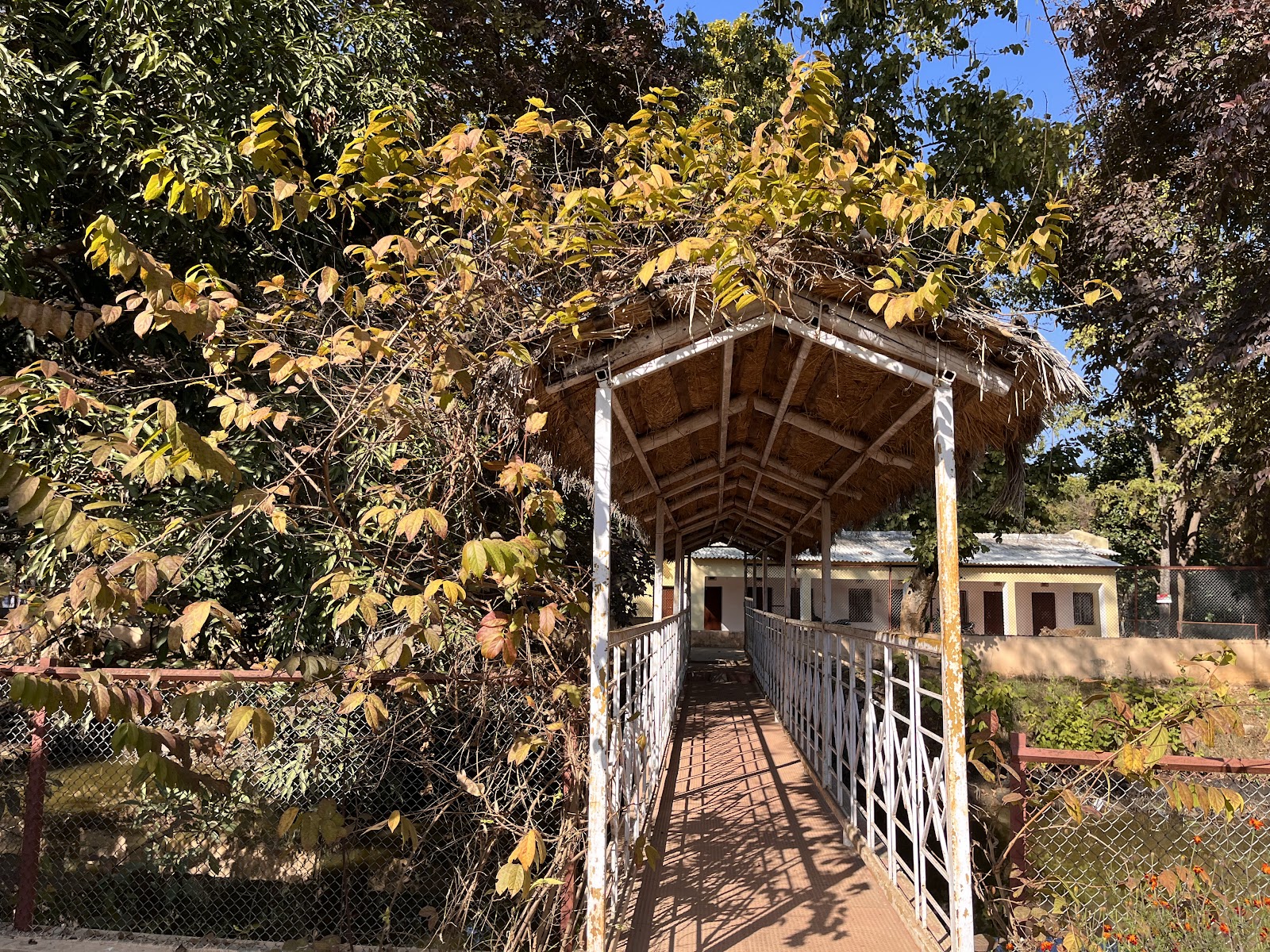 Hazaribagh National Park