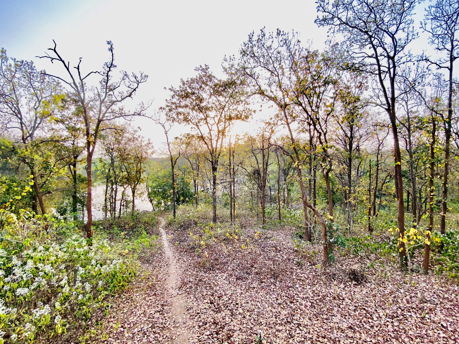 Hazaribagh National Park