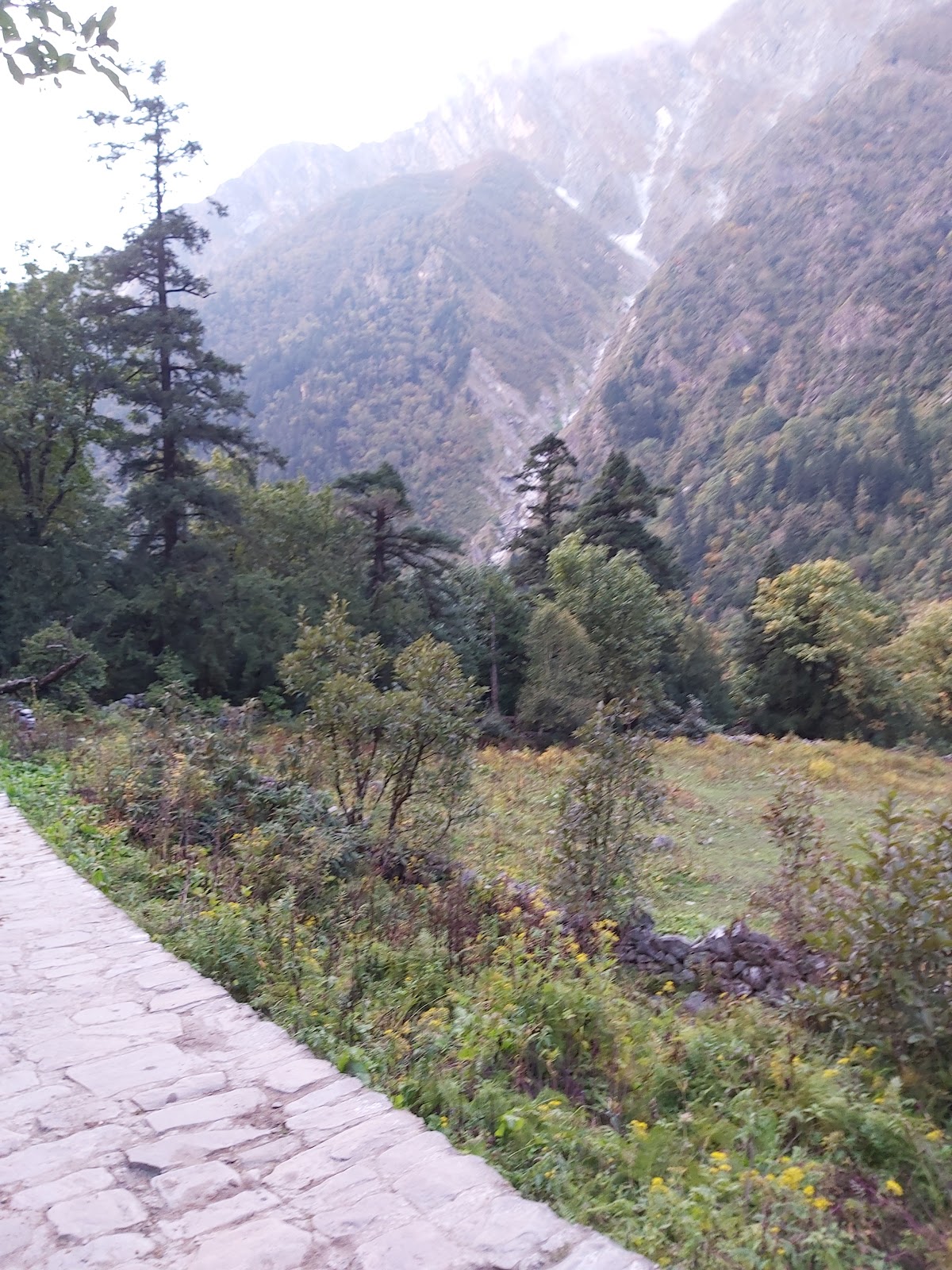 Joshimath