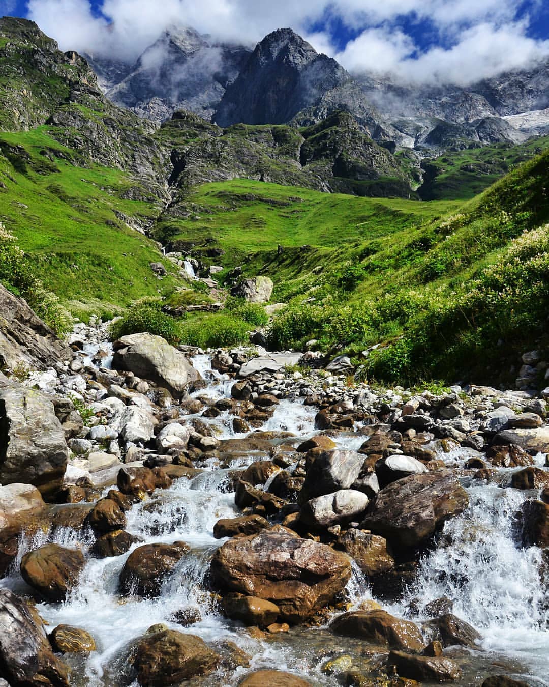 Valley of Flowers