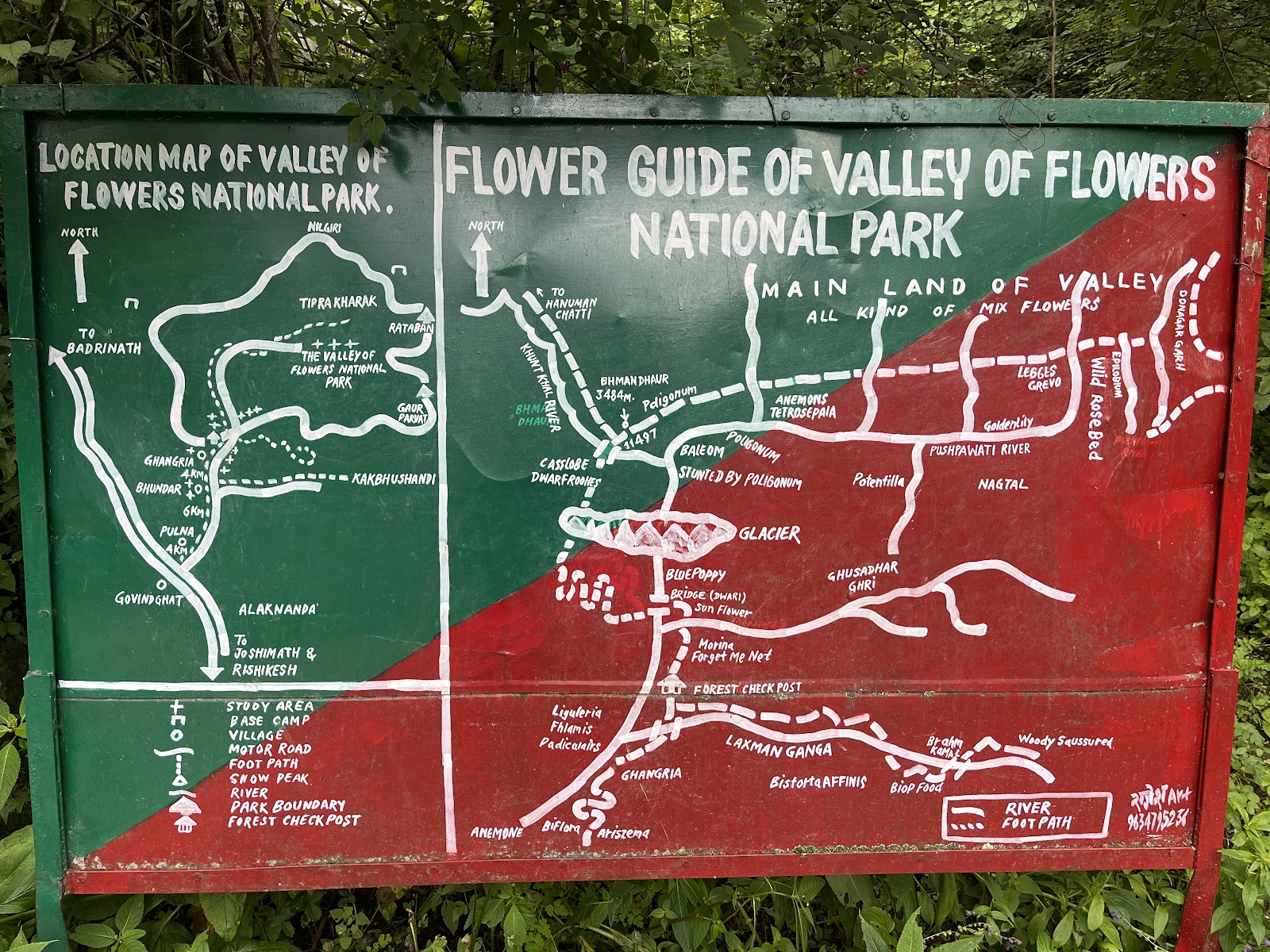 Valley of Flowers