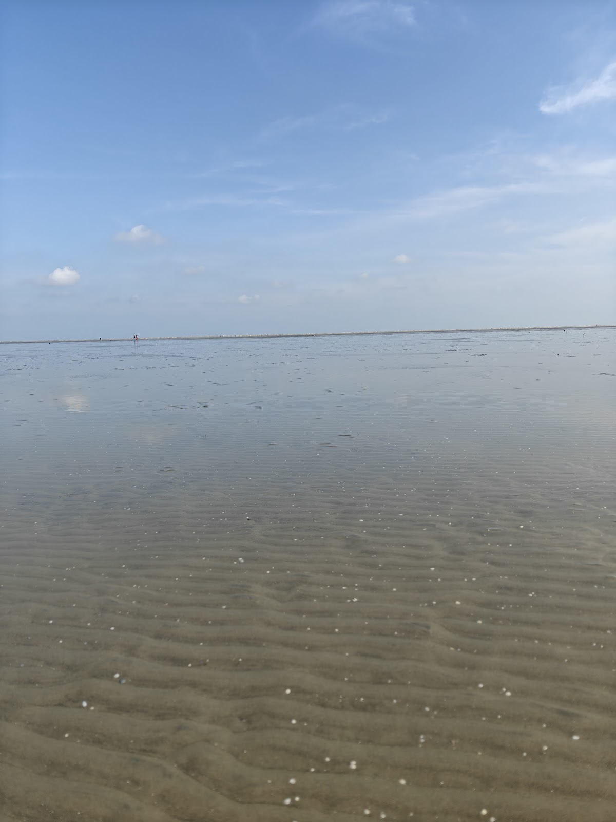 Chandipur Beach