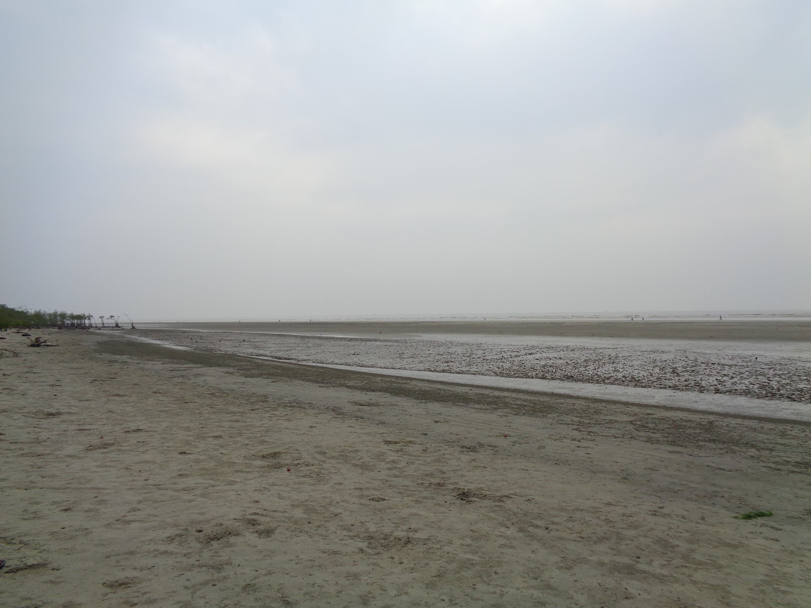 Shankarpur Beach