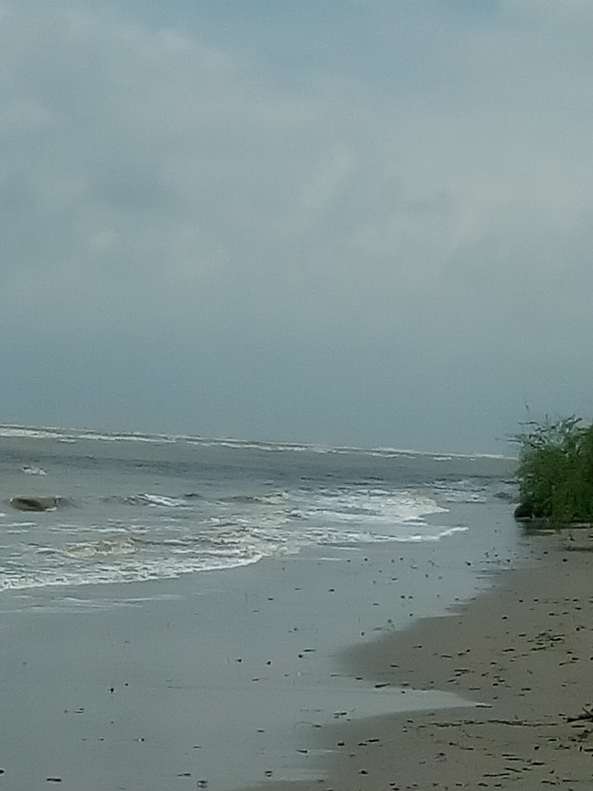 Talsari Beach