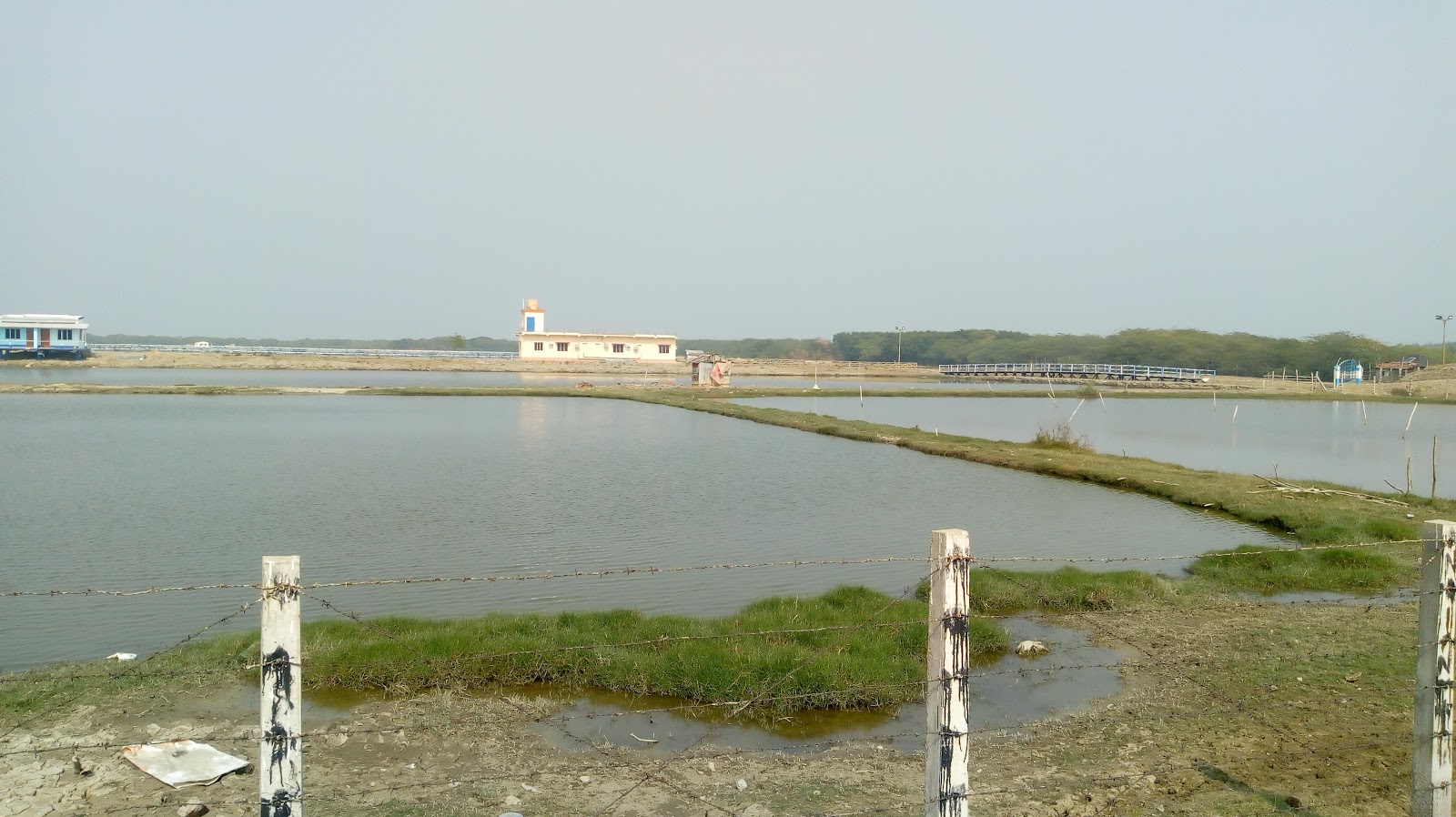 Talsari Beach