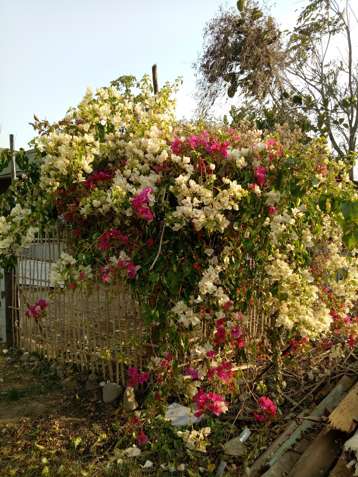 Hnahthial Heritage Park