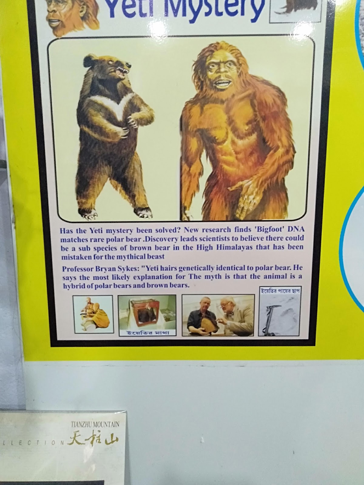 Bengal Heritage Museum