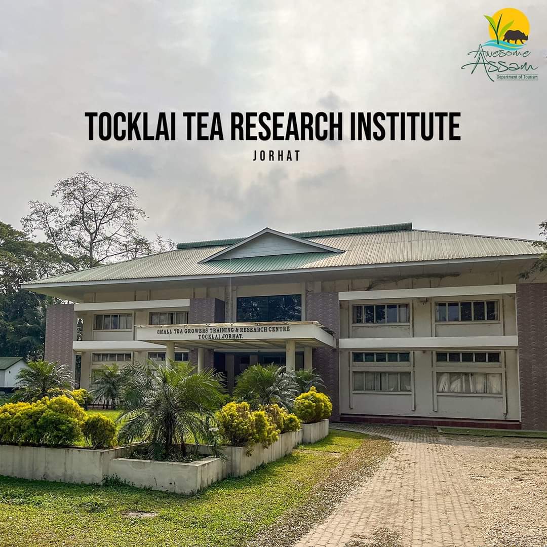 Jorhat Tea Museum