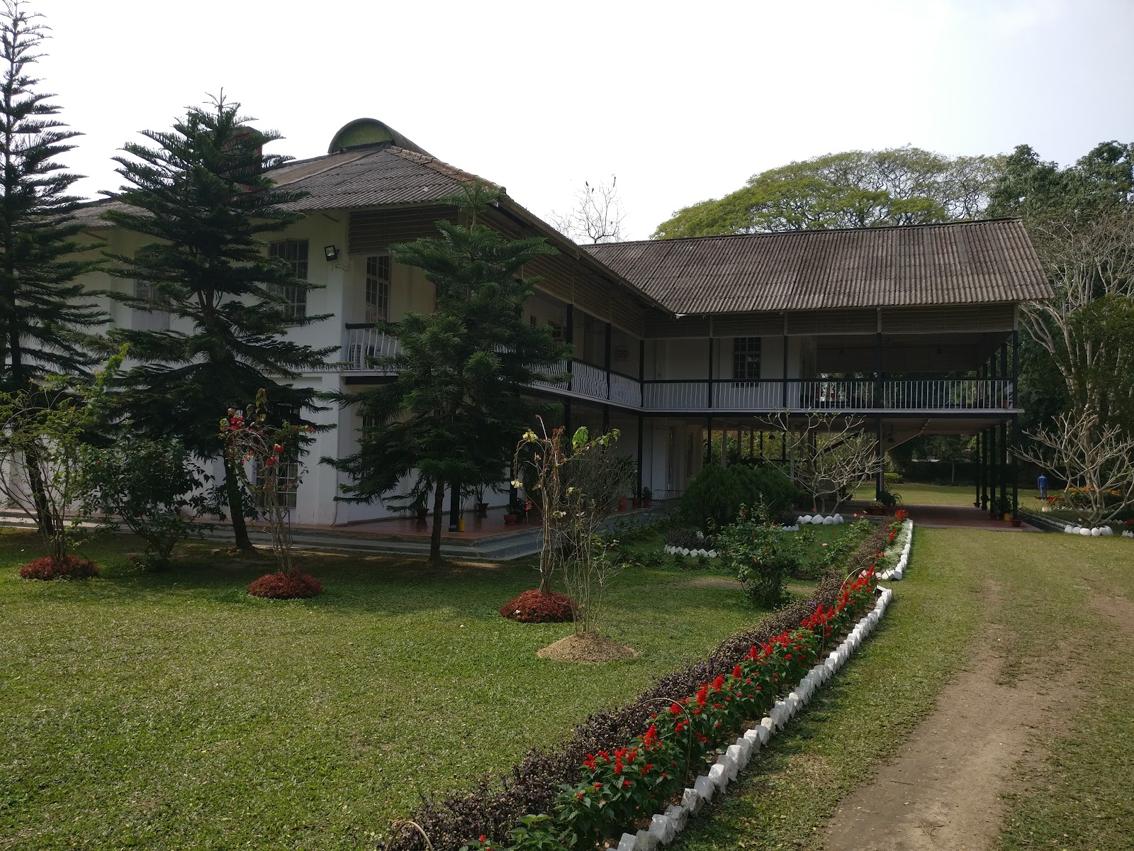 Jorhat Tea Museum