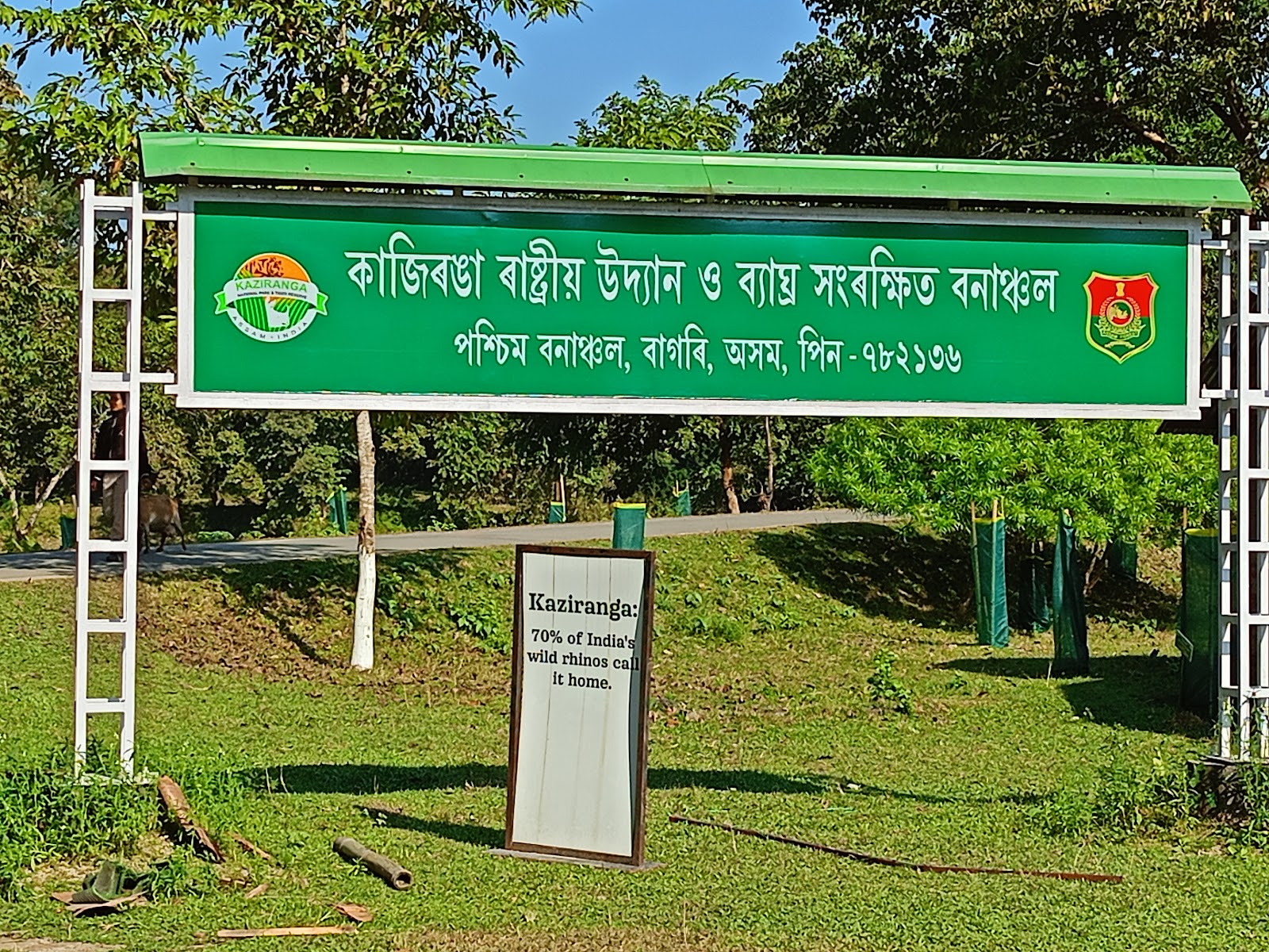 Kaziranga National Park