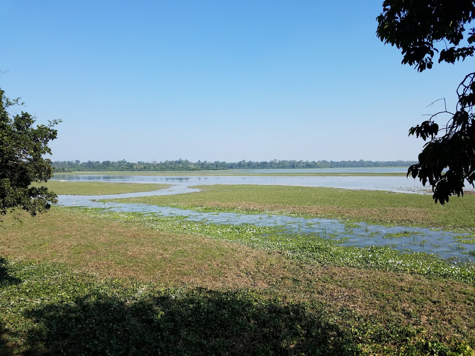 Kaziranga National Park