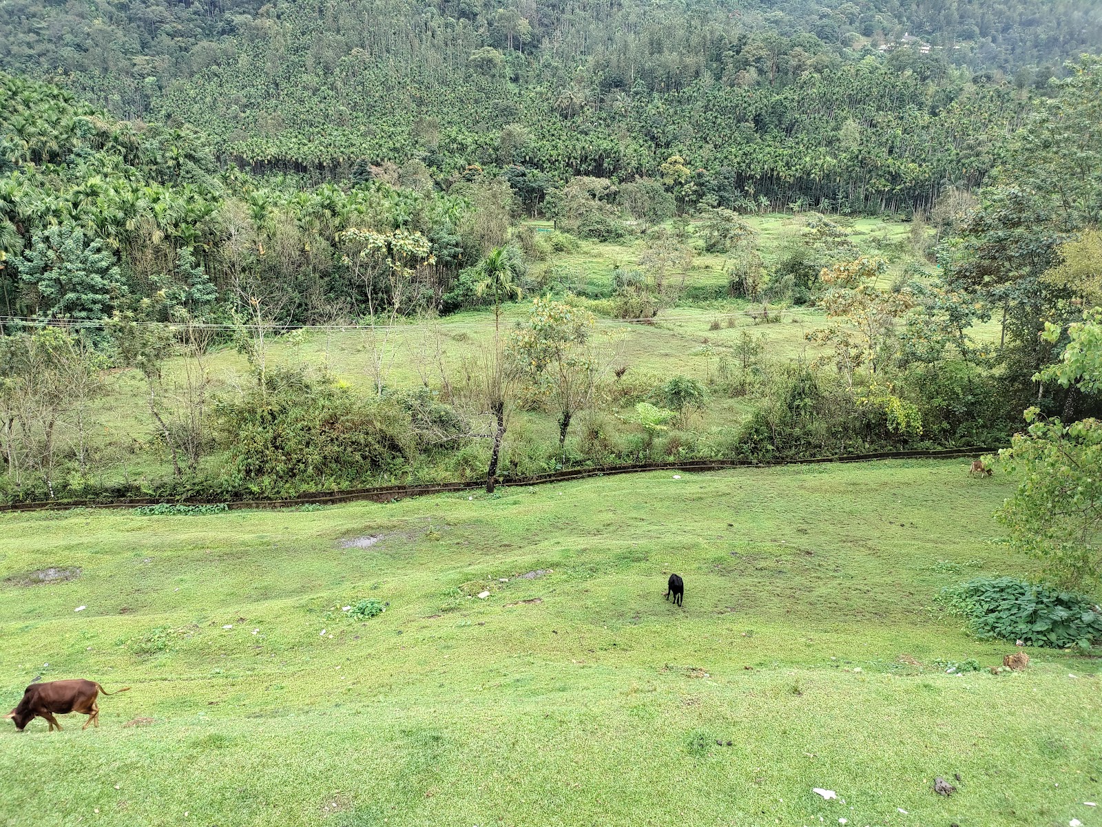 Annapoorneshwari Temple