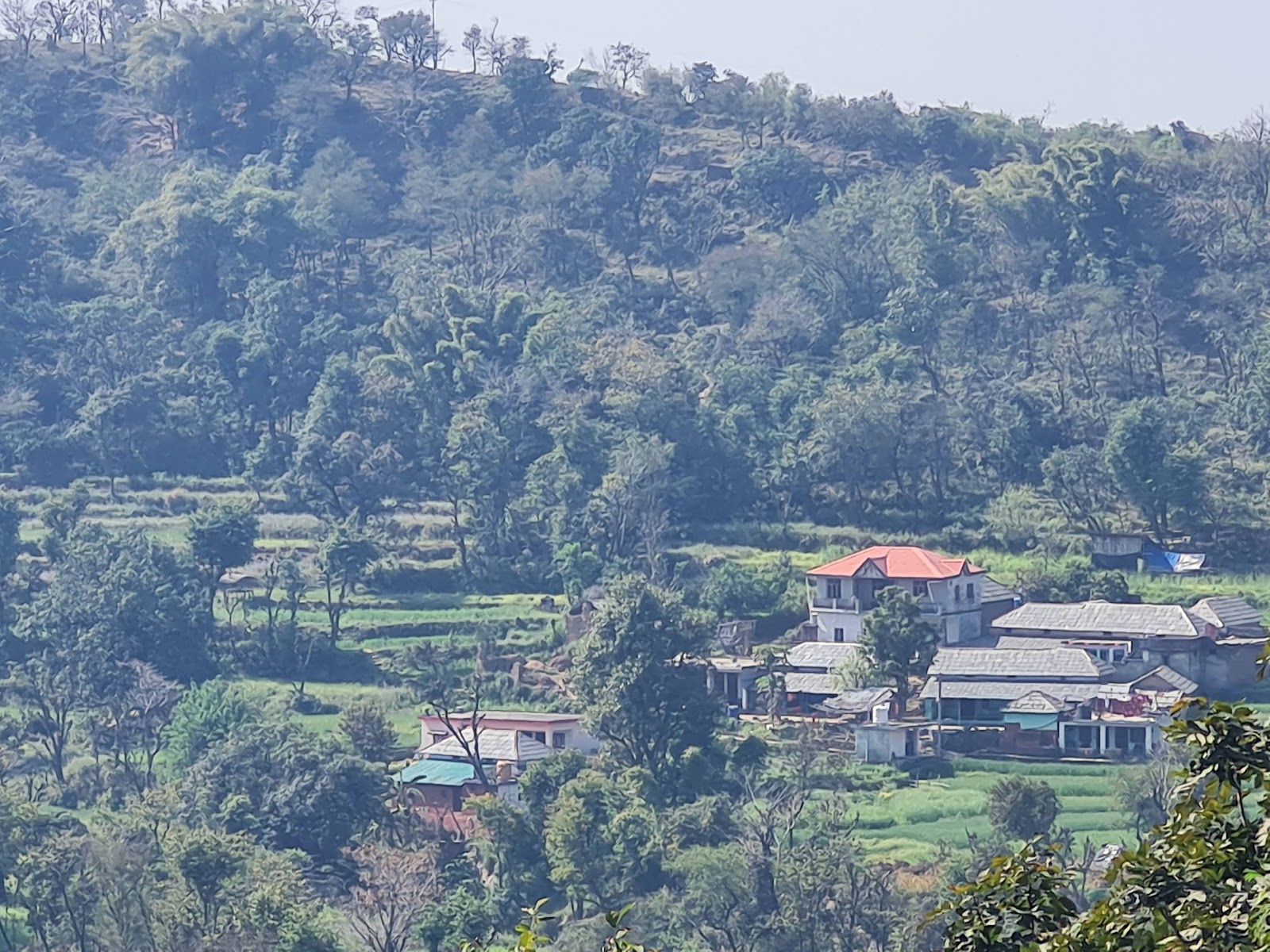 Kangra