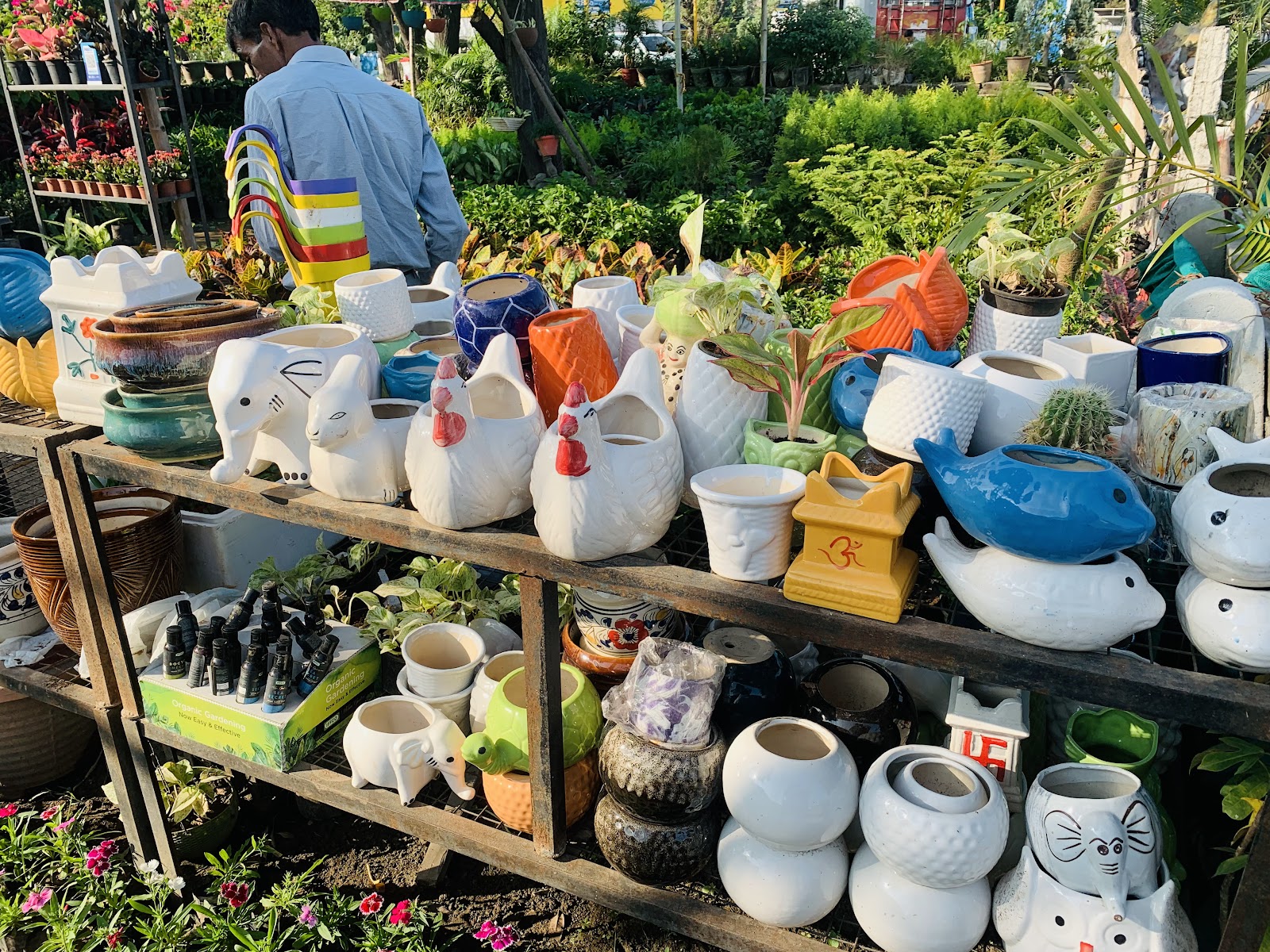 Mukerian Dam and Park