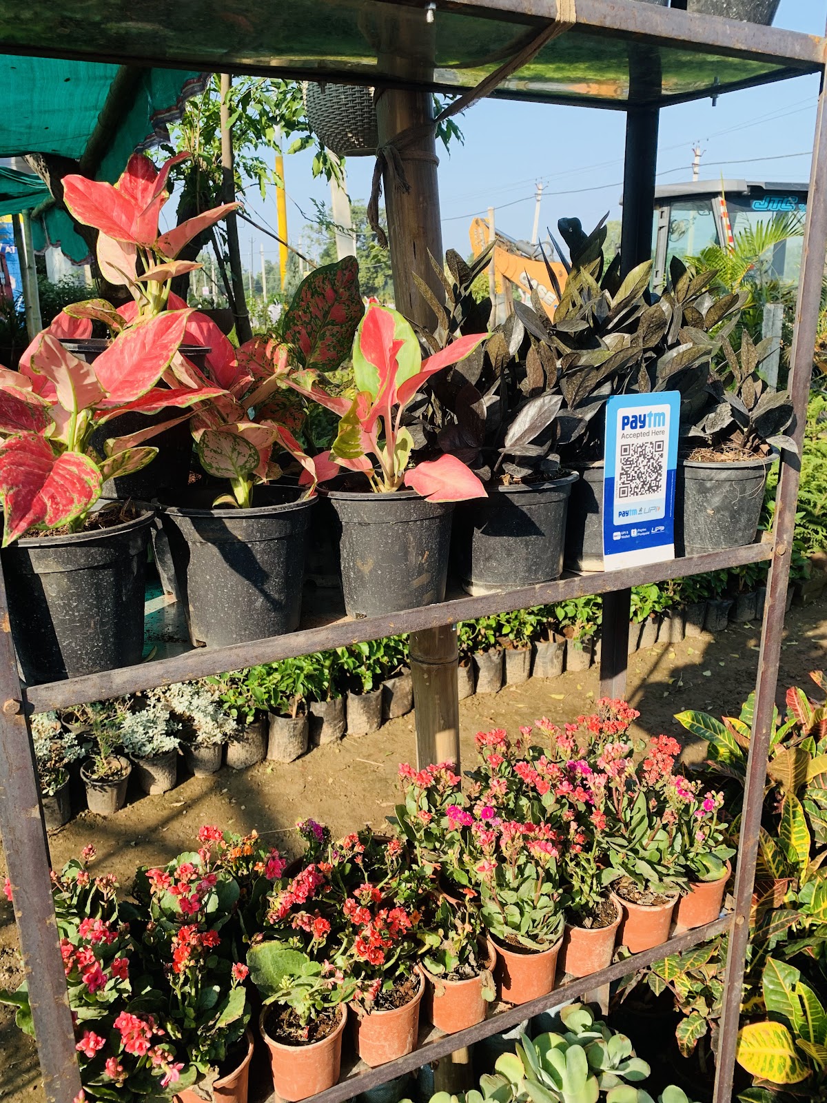 Mukerian Dam and Park