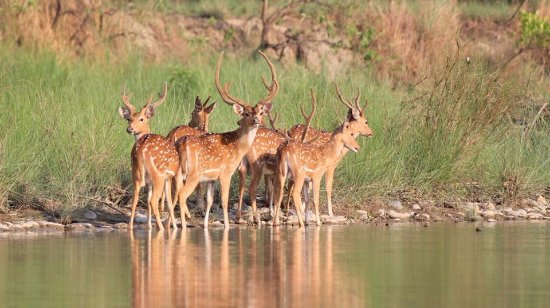 Takhni Rehmapur Wildlife Sanctuary