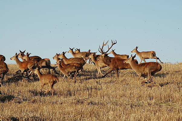 Takhni Rehmapur Wildlife Sanctuary