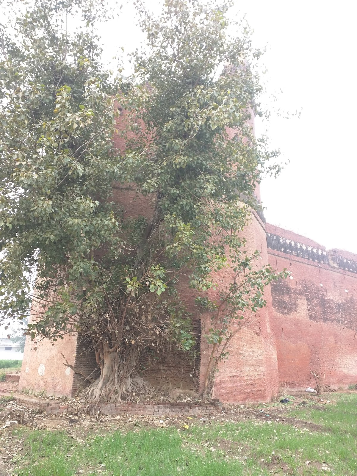 Hoshiarpur Fort