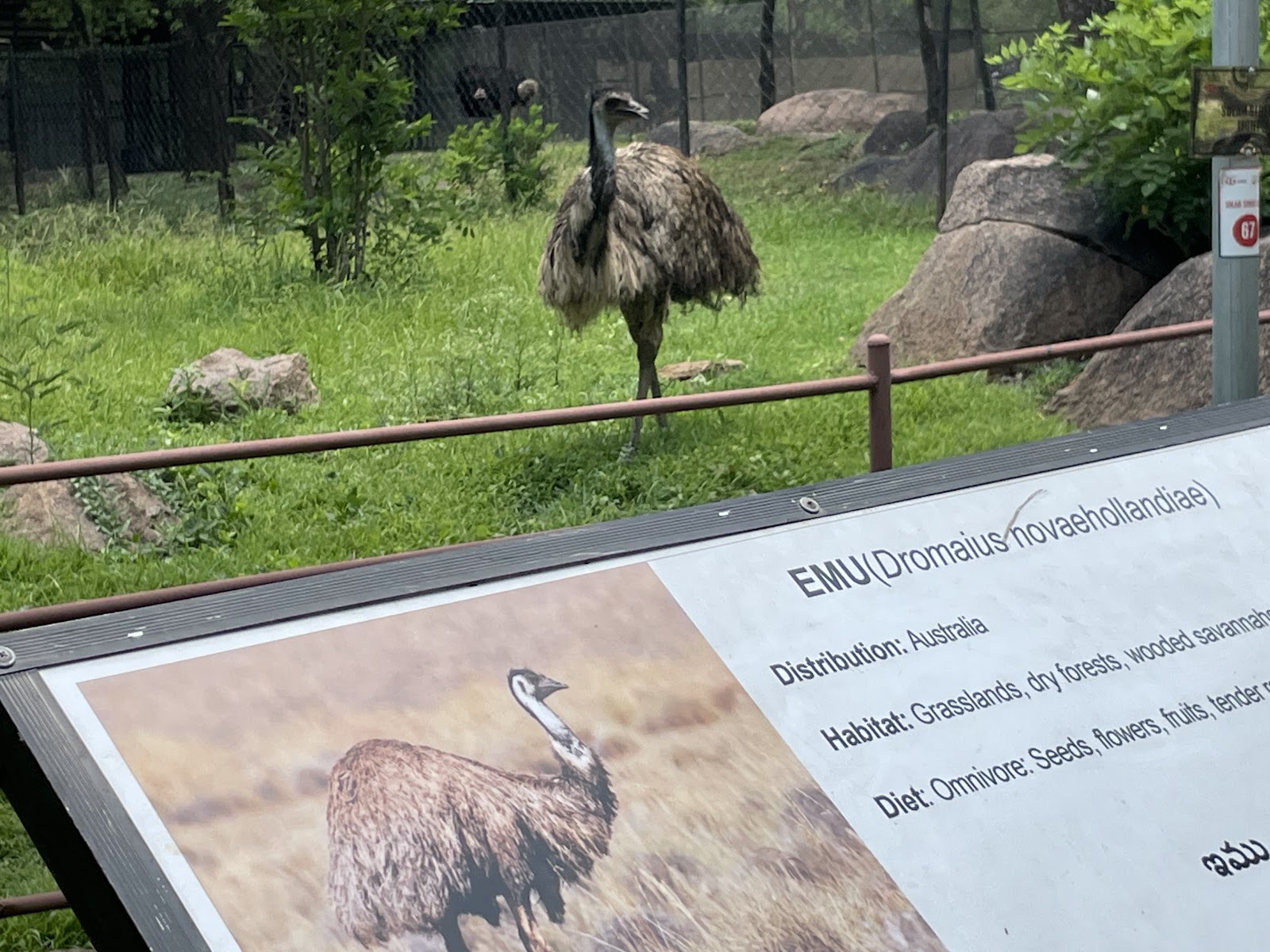 Nehru Zoological Park