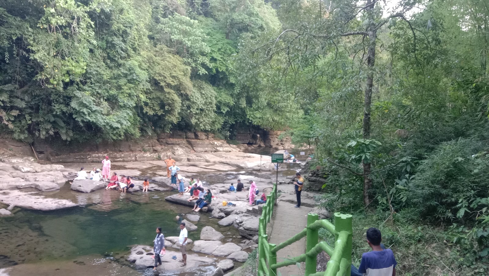 Living Root Bridges