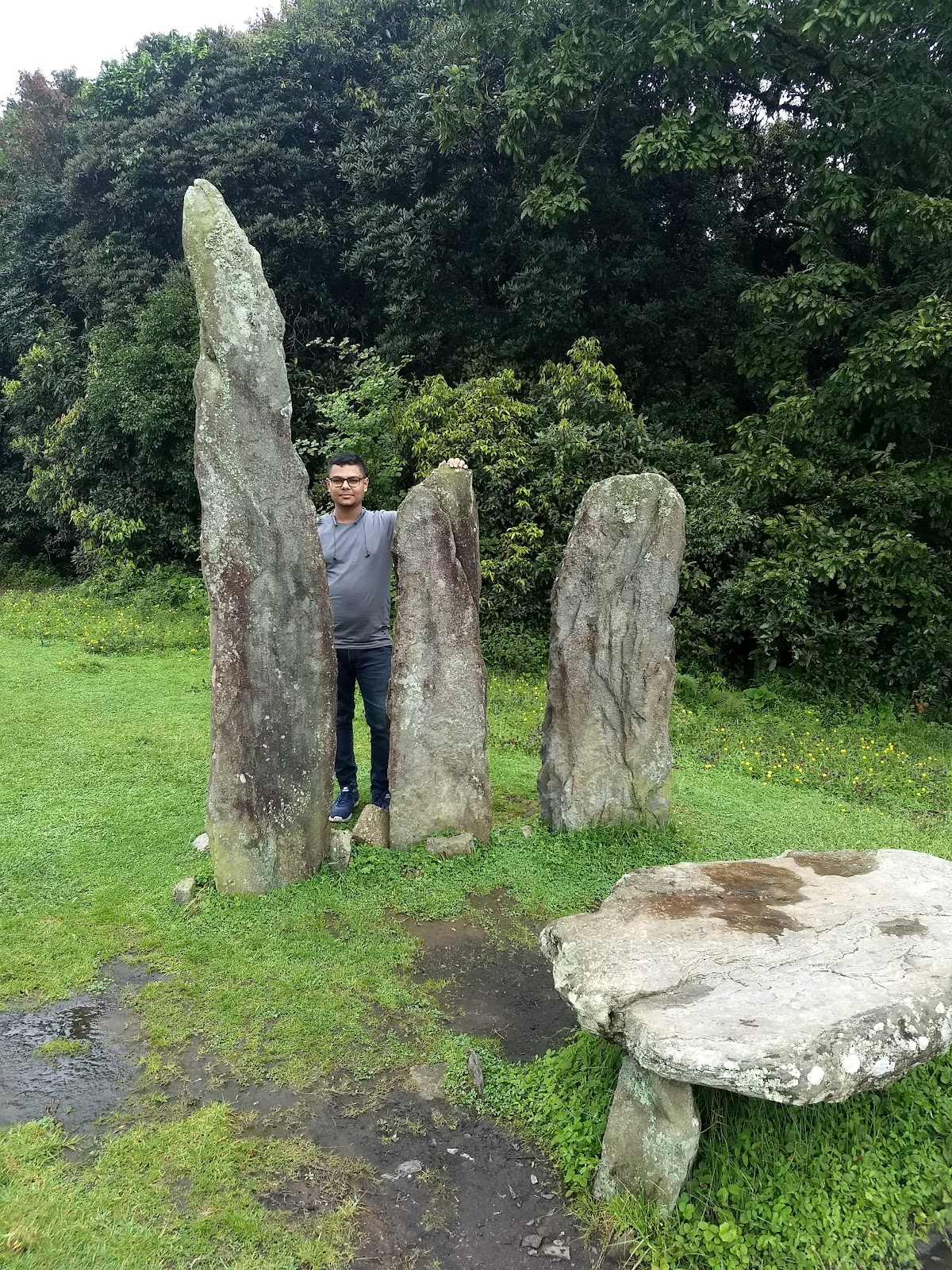 Mawphlang Sacred Grove