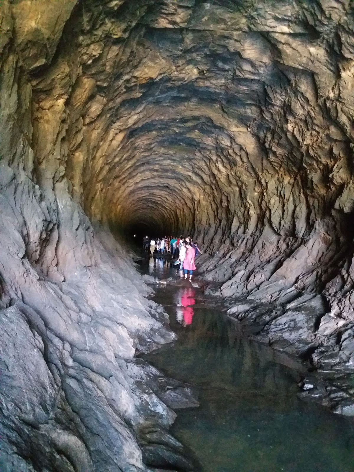 Idukki Wildlife Sanctuary