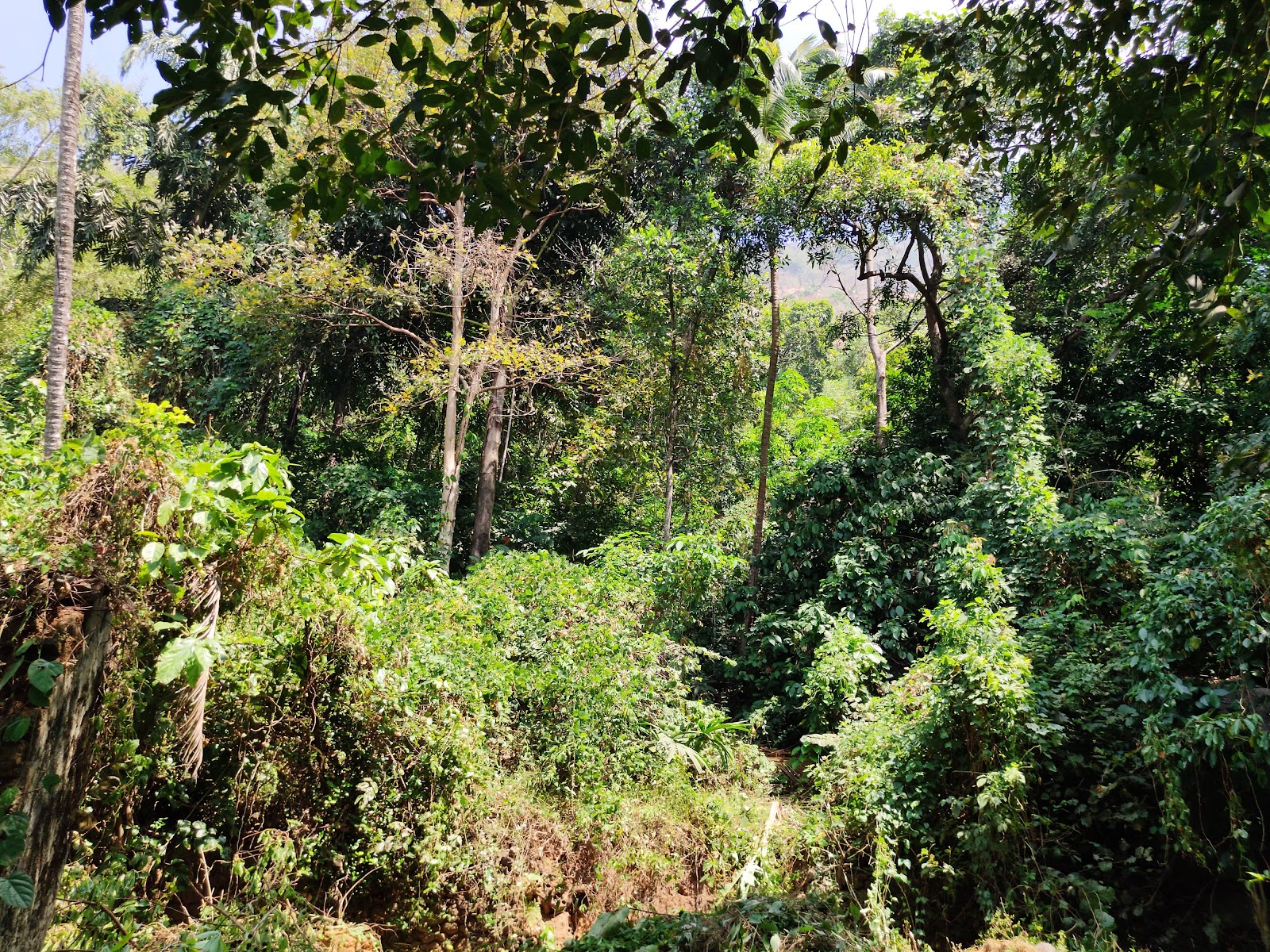 Moolamattam Power House