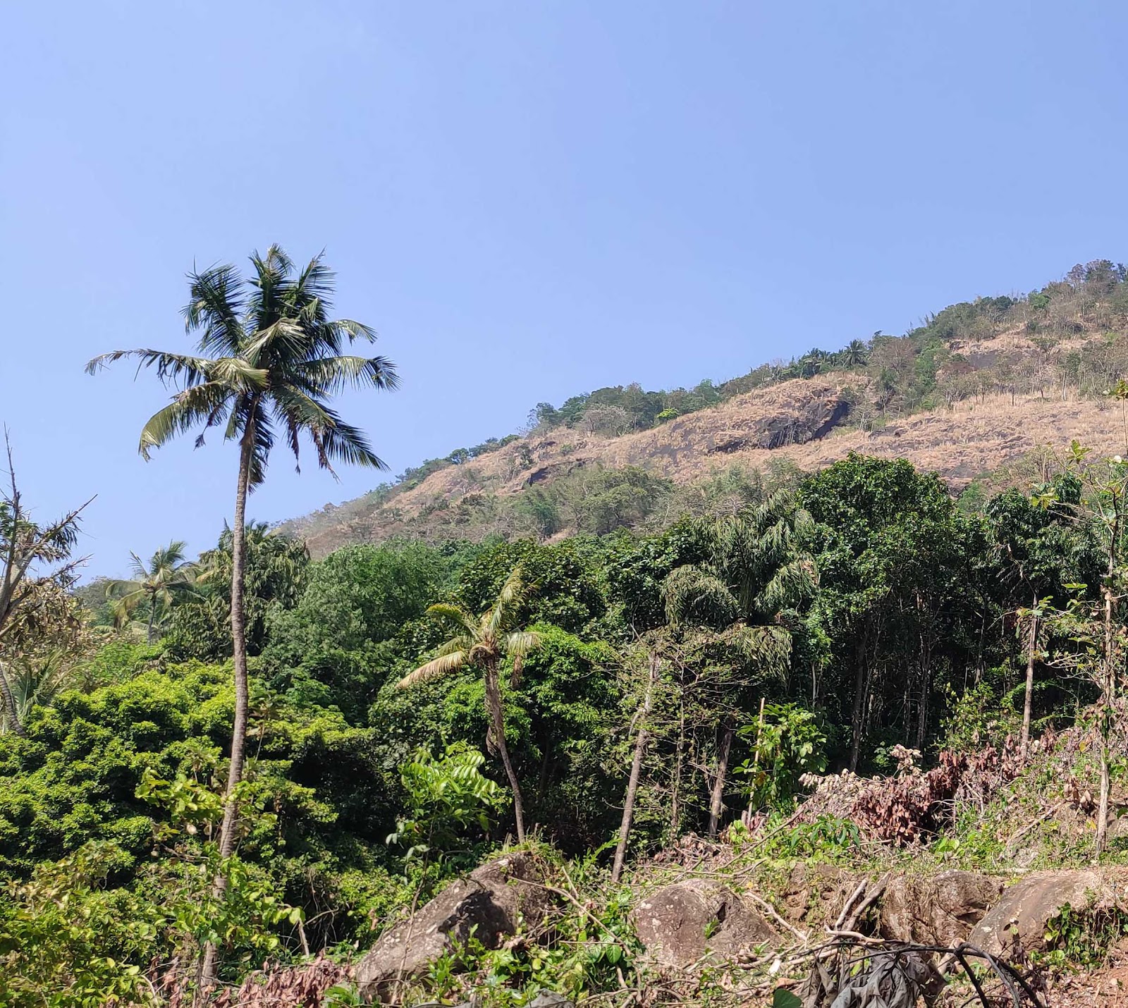 Moolamattam Power House