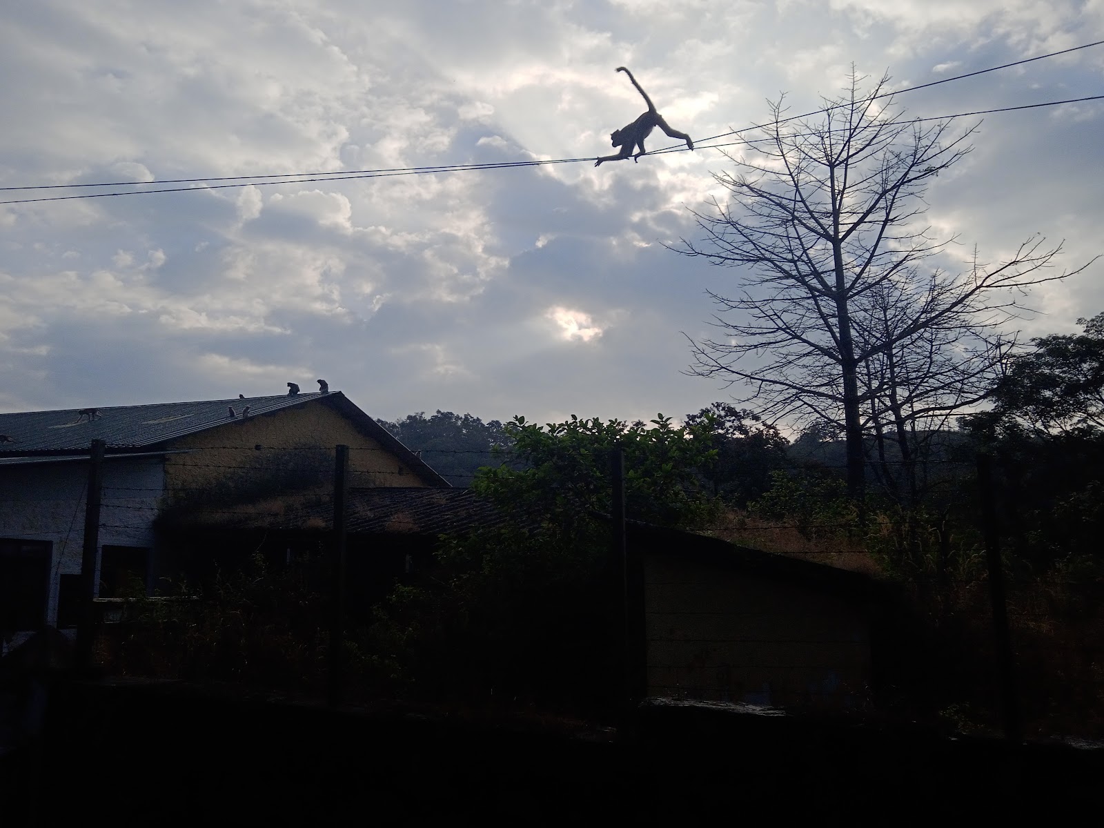 Painavu (District Headquarters)