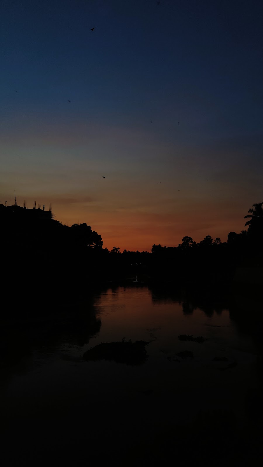 Thodupuzha River Walk