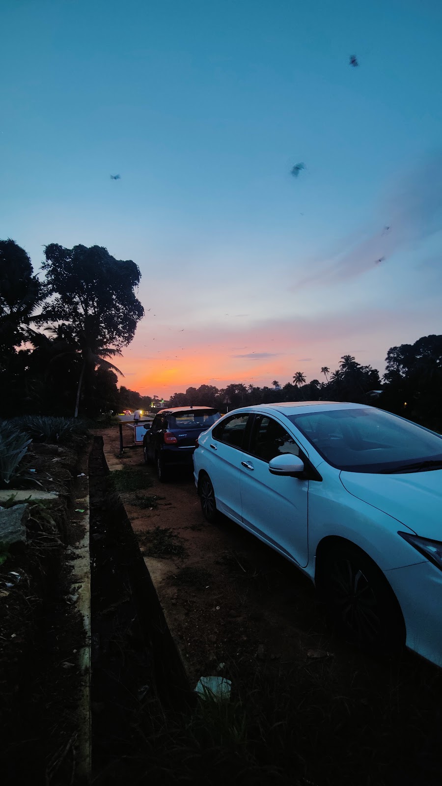 Thodupuzha River Walk