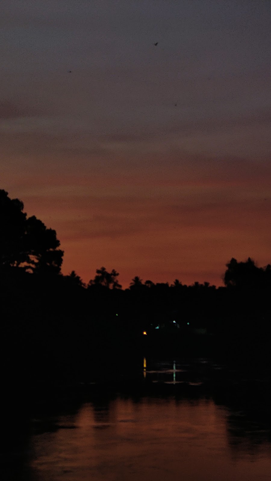 Thodupuzha River Walk