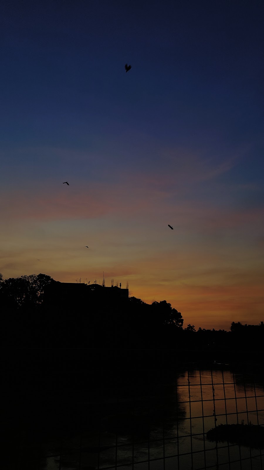 Thodupuzha River Walk