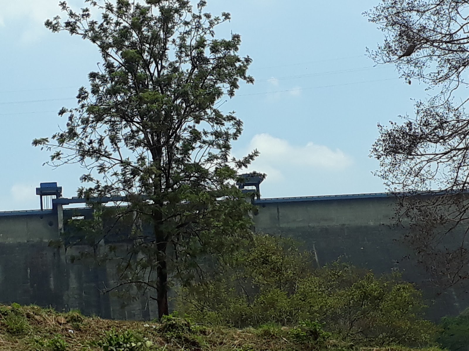 Cheruthoni Dam