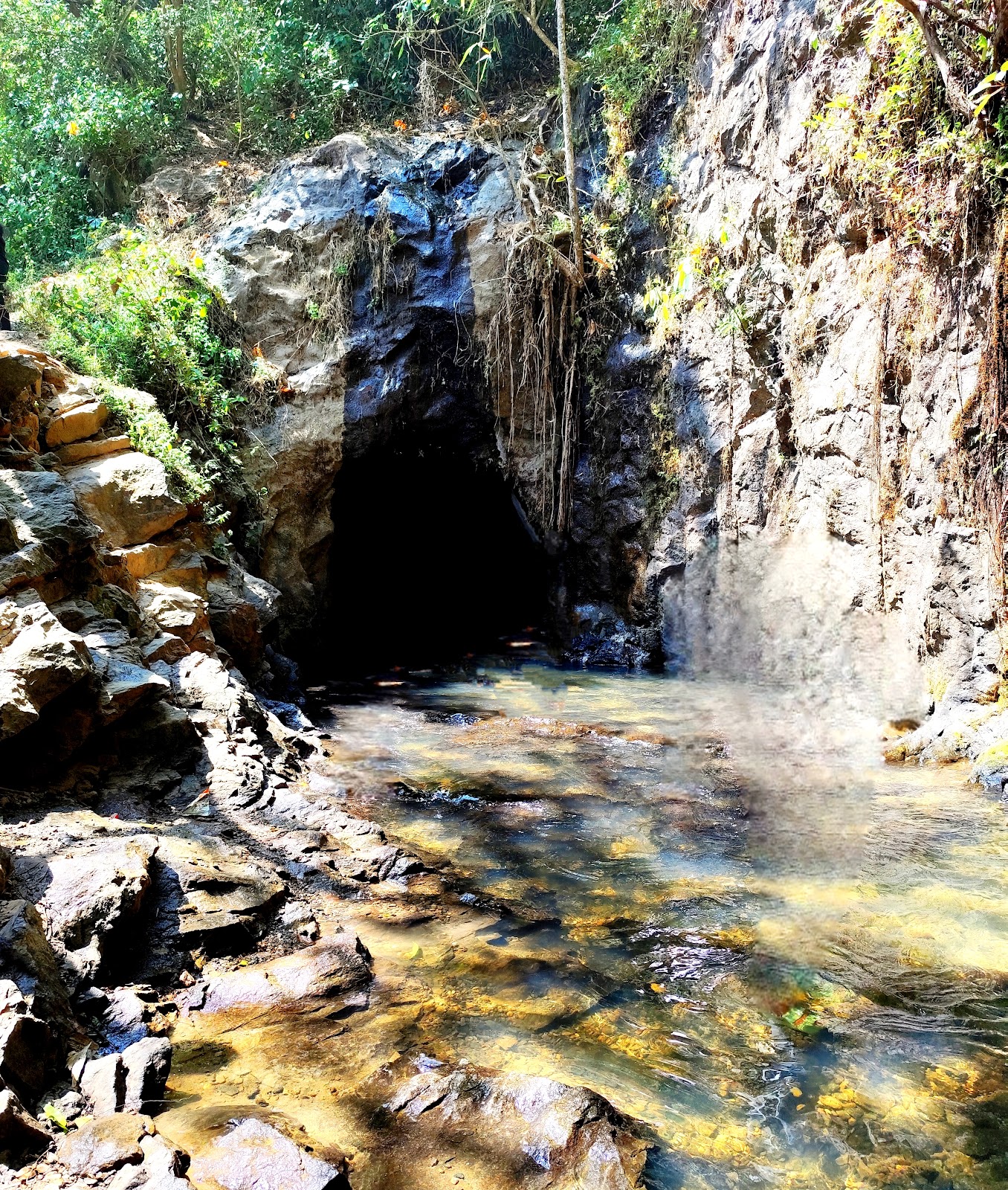 Idukki Wildlife Sanctuary