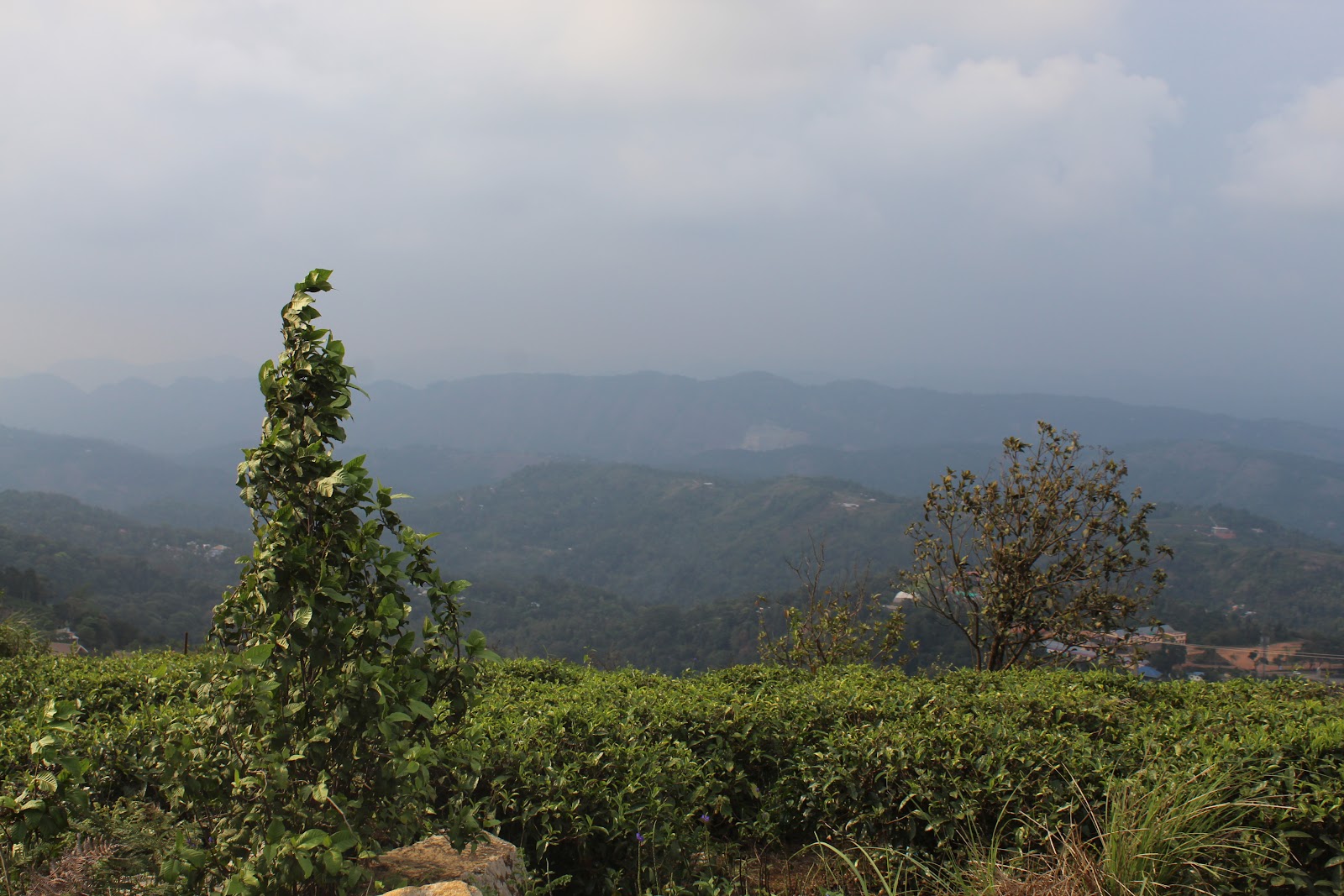 Kalvari Mount