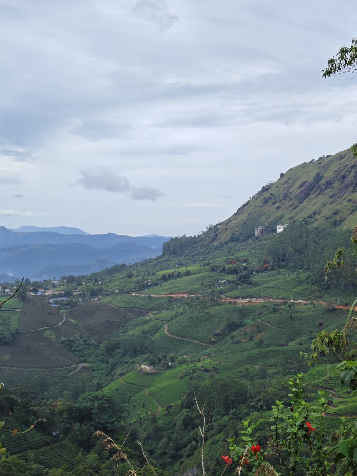 Pothamedu View Point