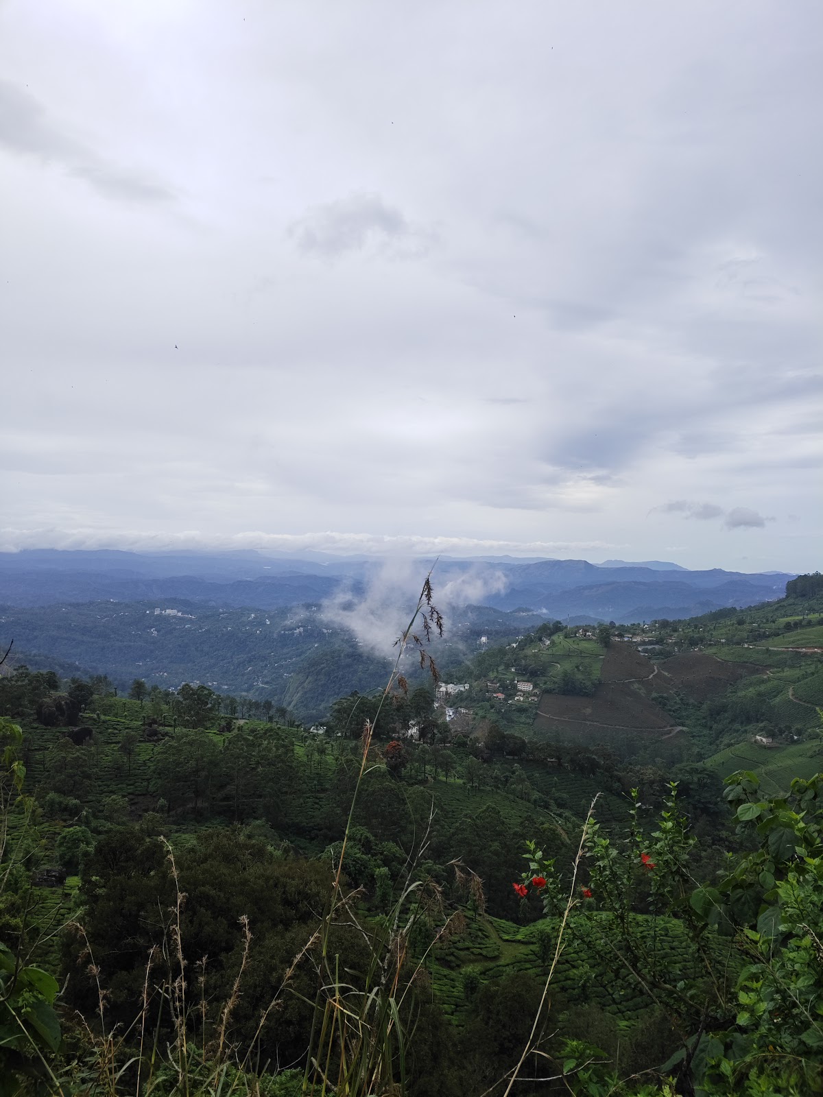 Pothamedu View Point