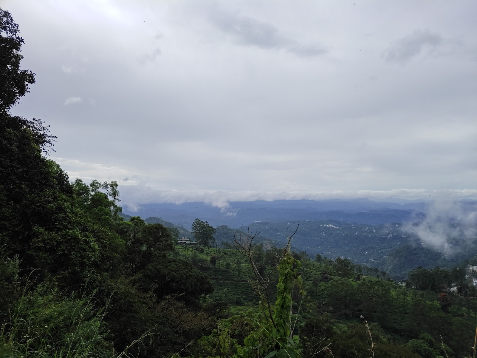 Pothamedu View Point