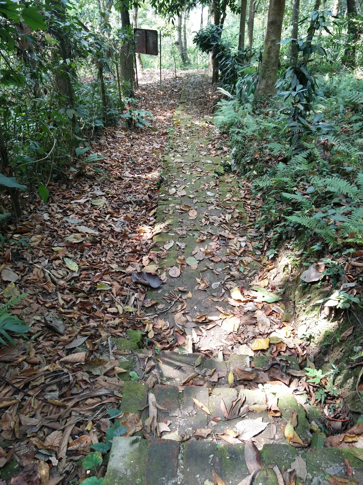 Khonghampat Orchidarium