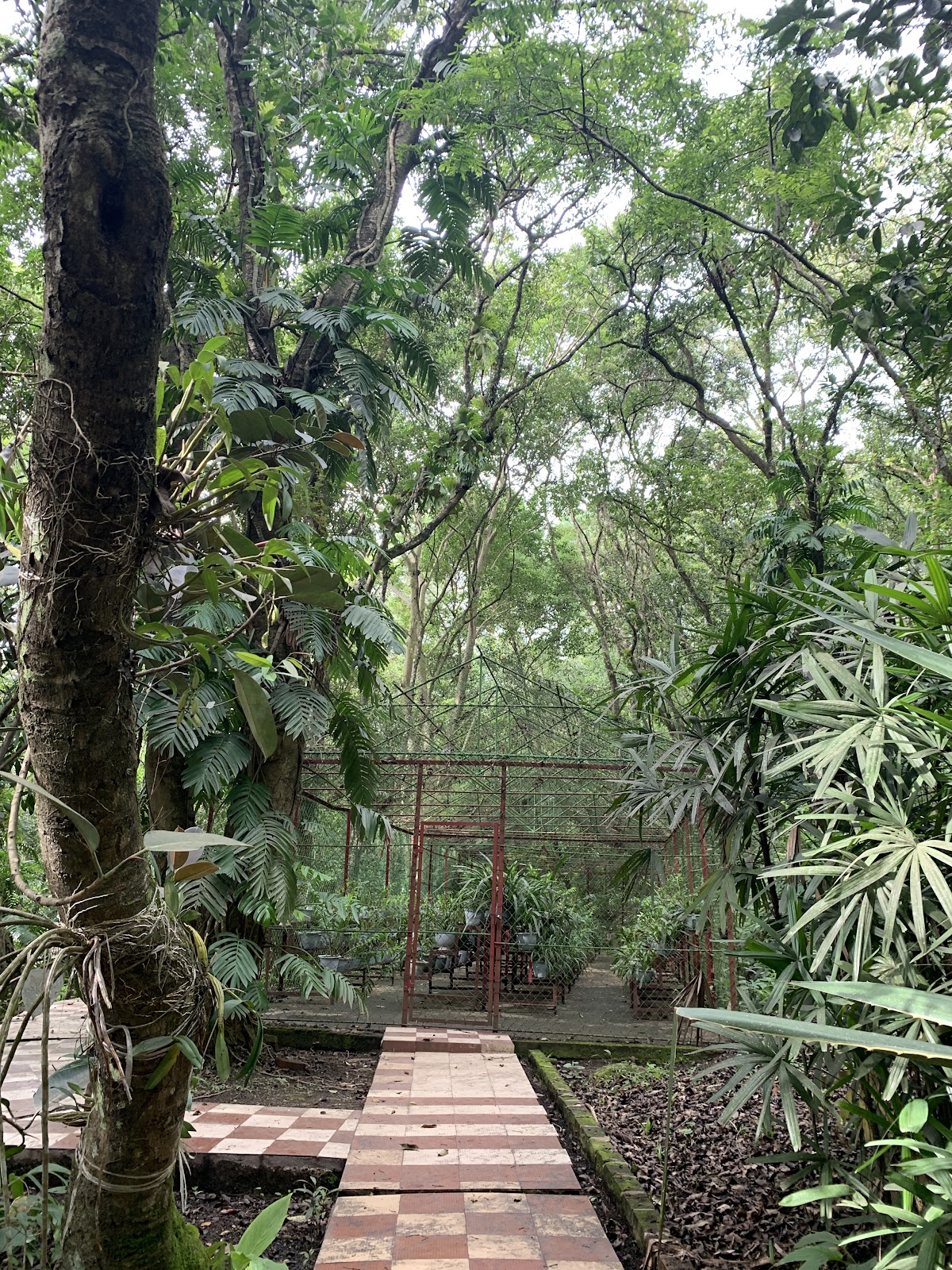 Khonghampat Orchidarium